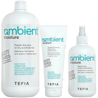 AMBIENT Moisture / Для ухода за сухими и ломкими волосами